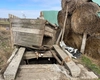 Un nou-născut a supraviețuit ca prin minune la Pașcani, după ce a fost aruncat în WC, chiar de tatăl său! Un mic detaliu i-a salvat viața micuțului