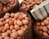 Controverse în Polonia! Supermarketurile preferă ouăle românești în locul celor produse local