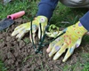 De ce se face plantarea trandafirilor primăvara? Iată tot ce trebuie să știi pentru a înflori în toată splendoarea lor