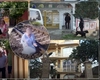 „Cutremur” la palatele de la Grajduri. Una dintre cele mai curtate pirande și-a înscenat răpirea. A fost filmată, în genunchi, lângă calea ferată, amenințând că se va sinucide din dragoste!