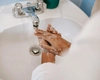 Igienă la standarde profesionale: Produse eficiente și inovatoare de la Sanito.ro