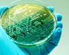 Alertă sanitară! Spitalul de Pediatrie rămâne contaminat cu bacilul Piocianic. Ce măsuri se vor lua
