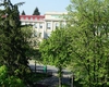 REVER 2025: USV Iași devine capitala studenților francofoni la medicină veterinară