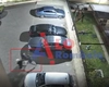 Două căprioare hăituite în Copou. Poliția din Iași s-a autosesizat în urma unor imagini șocante