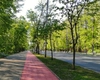 Noua modă pe Copou. Priviți ce au fost în stare să facă doi tineri într-un autoturism. Trecătorii au scos telefoanele și au început să filmeze