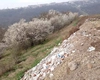 Activitatea Comisariatului Iaşi al Gărzii Naţionale de Mediu în Trimestrul I 2025