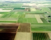 Ce oferte de vânzare a terenurilor agricole sunt la Iași în această perioadă. Prețurile cerute de proprietari au crescut în 2025