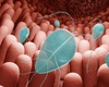 Ce tratament există pentru infecția cu Giardia lamblia? Află cât durează vindecarea și ce soluții există!