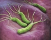 Simptome helicobacter, cum le recunoști? Află care sunt semnele ale unei infecții periculoase!