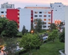 Poliția a intervenit după scenele amoroase din Campusul „Tudor Vladimirescu” din Iași! Femeia implicată în imaginile indecente, internată într-o unitate medicală
