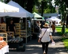 Primăria Municipiului Iași va cheltui 16.000 de lei pentru Târgul de ceramică tradițională „Cucuteni 5000” și Festivalul de Fanfare
