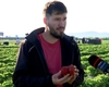 Marinel Hotca a dat lovitura cu acest fruct! Oamenii călătoresc și 11 ore ca să cumpere de la el