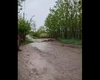 România, sub ape. Ploi torențiale și vijelii puternice pe 22 mai