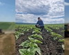 Flavius Stoica, tânărul fermier care modernizează agricultura românească: „E mai mult decât o meserie”