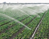 Proprietarii de terenuri agricole nu mai pot folosi apa fără autorizație! Unde se aplică legea 