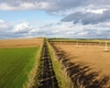 Obligatoriu la arendarea terenurilor agricole în 2025! Ce trebuie să facă proprietarii 