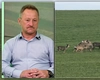 Fermierul Ion Noțingăr, din Iași, a rămas cu paguba de 800.000 de lei. Autoritățile nu au rezolvat problema privind căprioarele care i-au distrus culturile. „Luni, depun solicitare privind constituirea comisiei”