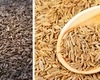 Chimion vs chimen. Sunt gemeni culinari cu identități diferite