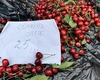 Dacă știu unde să caute, ieșenii pot găsi cireșe românești în piețele din oraș! Prețul per kilogram ajunge la 25 de lei