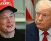 Elon Musk părăsește administrația Trump: „Cred că am făcut destul”