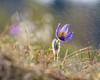 Recorduri climatice răsturnate și fenomene extreme în România. Ce se întâmplă cu vremea