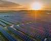 Primăria Victoria, din județul Iași, caută firme pentru înființarea unui parc fotovoltaic! Proiectul depășește 3 milioane de lei