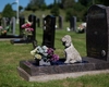A apărut un nou tip de cimitire în România! Tot mai mulți cetățeni vor să dețină un loc