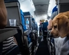 S-au impus reguli clare pentru persoanele care merg cu animalele de companie în vacanță! Ce nu mai au voie să facă