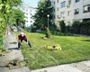 Românii pot beneficia gratuit de aceste lucruri! Primăria a făcut anunțul