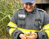 Șase vieți mici, o misiune mare. Pompierii ieșeni au salvat boboci de rață căzuți într-un canal de 6 metri