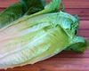 Salata romană – Iată ce beneficii incredibile are și cum o poți prepara