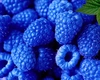 Zmeura albastră chiar există? Iată ce mâncăm, de fapt, când gustăm această aromă!