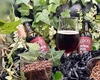 Studenții USV Iași au reinventat tradiția slavă cu ROOTS, o băutură artizanală, fără alcool, obținută prin fermentare naturală. Cu acest produs, USV va reprezenta Moldova la Ecotrophelia 2025