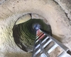 Un animal a fost salvat dintr-o fântână în Hârlău