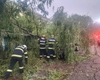 Intervenție în desfășurare pentru degajarea unui copac căzut în municipiul Iași