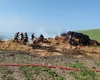 Incendiu în localitatea Boureni, comuna Balș. Pompierii intervin
