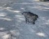 Așa arată șoseaua Iași-Hlincea după reparațiile făcute în urmă cu un an. Banii au fost alocați din bugetul Primăriei Municipiului Iași  