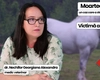 Despre moartea calului Falko, un caz care a stârnit revoltă în întreaga țară, în emisiunea de sănătate BZI LIVE, unde dr. Georgiana Alexandra Nechifor, medic veterinar, va explica din punct de vedere medical ce ar fi putut să îi cauzeze moartea acelui cal folosit în concurs