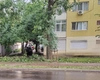 Intervenție pentru îndepărtarea unui copac în pericol de prăbușire în municipiul Iași