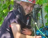 Intervenție promptă a pompierilor pentru a muta un roi de albine de pe un gard, în municipiul Iași