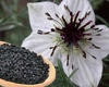 Chimen negru sub formă de capsule, aliatul natural al imunității. Află beneficiile sale în viața de zi cu zi