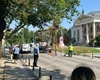 Se toaletează copacii din fața Teatrului Național. Traficul este dirijat de Poliția Locală
