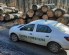 Activitatea Gărzii Forestiere Suceava în primele cinci luni ale anului 2025: controale, sancțiuni și confiscări în lupta cu tăierile ilegale de lemn