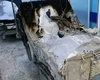 Dosar penal în tragedia de la ATI Piatra-Neamț! Două asistente și spitalul, trimise în judecată pentru dezastrul care a ucis 9 pacienți