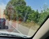 Incendiu de vegetație uscată, în Valea Lupului. Pompierii intervin