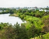 Parcul Natural Văcărești – Iată de ce este atât de deosebit, este un adevărat ecosistem sălbatic în inima orașului