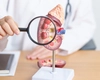 Pielonefrita acută, o afecțiune renală severă ce trebuie recunoscută și tratată prompt pentru a preveni complicațiile