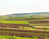 Toți proprietarii de terenuri au nevoie de acest certificat de la primărie! Se plătește și o taxă obligatorie