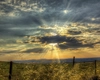 Prognoza meteo, 14 iunie. Vreme instabilă, ploi și condiții de grindină. Planuri compromise