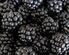 Mure, la preț de caviar! Cât a ajuns să coste un kilogram